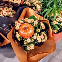 Букетик на Хэллоуин ) :: Veera V