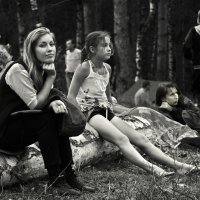 Лесные зрители :: СЮ 