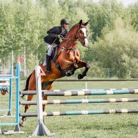 Конкур :: SanSan 