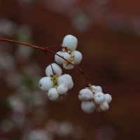 ... :: Владимир иванов