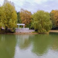 Пруд :: Валерий Пославский