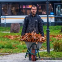 Целая тачка осени. :: Анатолий. Chesnavik. Целая тачка осени. :: Анатолий. Chesnavik.