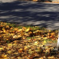 Осень :: Юрий Гайворонскiий