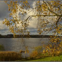 Октябрь уходит :: Aleksandr Gal