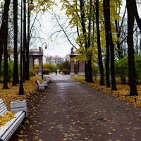 аллея :: Дмитрий Лупандин