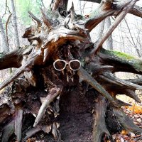 Про чудища лесные...:-) :: Андрей Заломленков