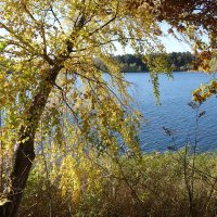 Побережье лесного озера :: Рита Симонова
