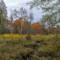 Про осень :: Сергей Цветков