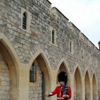 Бравая гвардия :: Ольга 