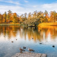 Гатчина. Осень. :: Владимир Колесников