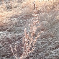 А недавно был октябрь :: Галина Минчук