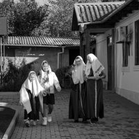 "-" :: Светлана Фокша