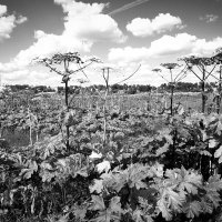 Фотография :: Денис Безногов