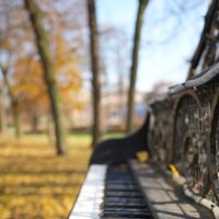 Ноябрь ... начало :: Lersa Ноябрь ... начало :: Lersa