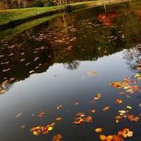 Осеннее озеро :: Юрий. Шмаков