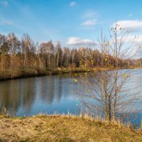 Осень не сдаётся :: Андрей Дворников