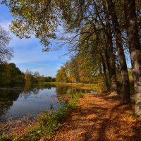 У озера :: Oleg S 