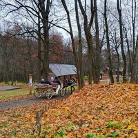 Щелоковский хутор осенью :: Алексей Р. Щелоковский хутор осенью :: Алексей Р.
