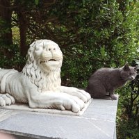 Львы в Гурзуфском парке. Крым. :: Галина 