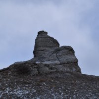 Природа Крыма :: Amazing Cosmea