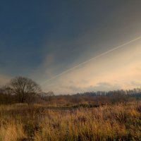 самолет разрезал небо как пиццу :: Артём 