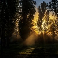 *** :: Игорь Протасов