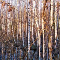 Ноябрь. :: VasiLina *