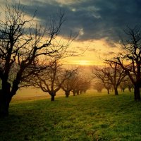 sunset :: Elena Wymann