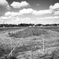 Фотография :: Денис Безногов Фотография :: Денис Безногов