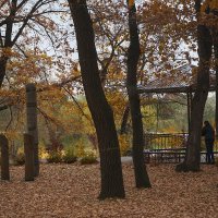 Осень в Новокуйбышевске :: Олег Манаенков