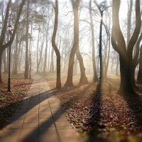 Туманно :: ZNatasha - Туманно :: ZNatasha -