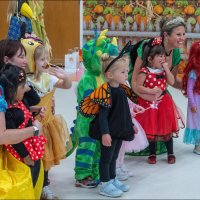 "Фотограф щелкает, и птичка вылетает" :: **** vedin