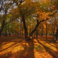 *** :: Сергей Григорьев