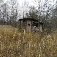 заброшка :: fogmeadowww m