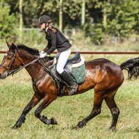 Конкур :: SanSan 