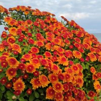 Октябрь у моря :: Татьяна Лютаева Октябрь у моря :: Татьяна Лютаева