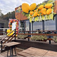 Кафе МАНГО. :: Валерия Комова