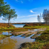 Природа после дождя (репортаж из поездок по области). :: Милешкин Владимир Алексеевич Природа после дождя (репортаж из поездок по области). :: Милешкин Владимир Алексеевич