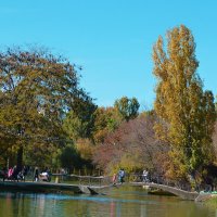 Осеннийпарк  Гагарина :: Валентин Семчишин