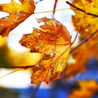 На фоне неба :: Юрий Гайворонскiий На фоне неба :: Юрий Гайворонскiий