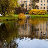 Пруд :: Дмитрий Лупандин