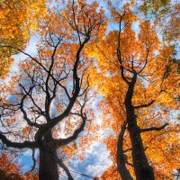 *** :: Сергей Григорьев *** :: Сергей Григорьев