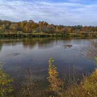 Клязьма осенняя :: Сергей Цветков Клязьма осенняя :: Сергей Цветков