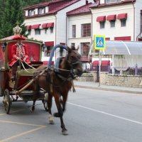 На улицах Белокурихи :: Ольга 