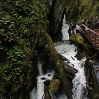 Водопады Телецкого озера :: Ольга 