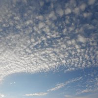 облака :: Елена Шаламова