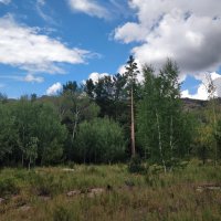 Летняя пора :: Андрей Хлопонин Летняя пора :: Андрей Хлопонин