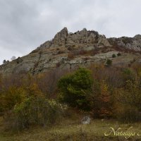 Природа Крыма :: Amazing Cosmea