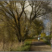 *** :: Aleksandr Gal