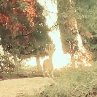 13 ОПЕН (611) :: OPEN WAYS ALL 13 ОПЕН (611) :: OPEN WAYS ALL